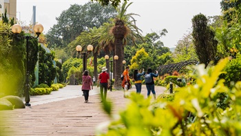 百花爭豔的意中園圍繞公園的入口。